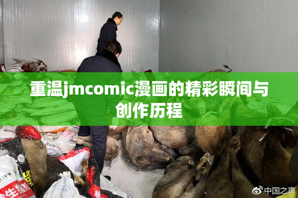 重温jmcomic漫画的精彩瞬间与创作历程