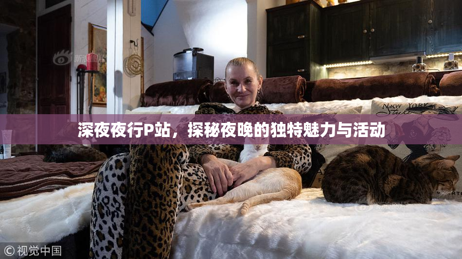 深夜夜行P站，探秘夜晚的独特魅力与活动