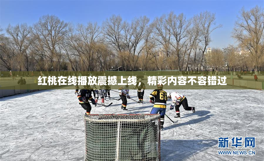 红桃在线播放震撼上线，精彩内容不容错过