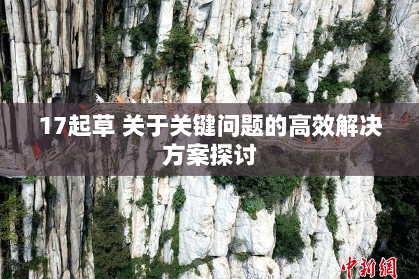 17起草 关于关键问题的高效解决方案探讨