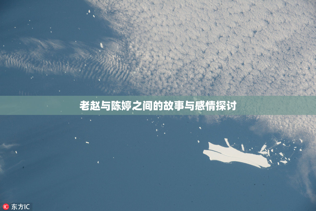 老赵与陈婷之间的故事与感情探讨