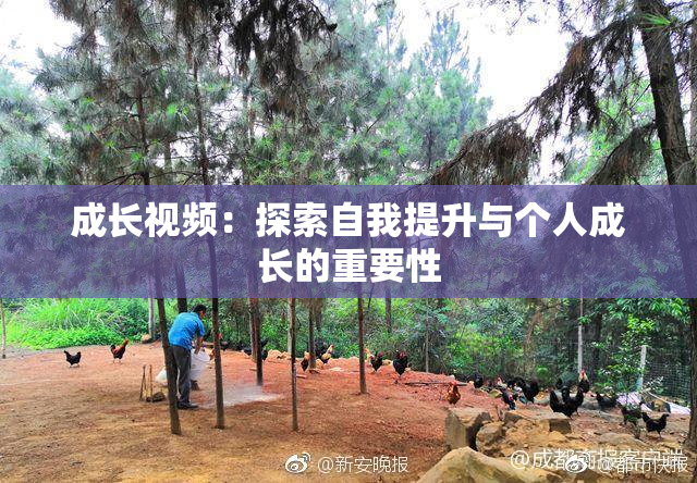 成长视频：探索自我提升与个人成长的重要性