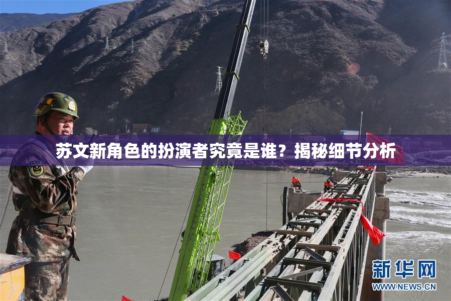 苏文新角色的扮演者究竟是谁？揭秘细节分析