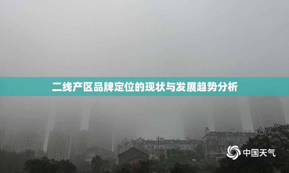二线产区品牌定位的现状与发展趋势分析