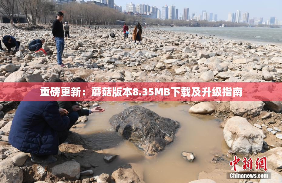 重磅更新：蘑菇版本8.35MB下载及升级指南