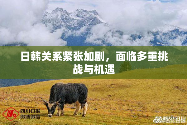 日韩关系紧张加剧，面临多重挑战与机遇