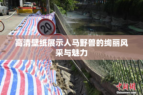 高清壁纸展示人马野兽的绚丽风采与魅力