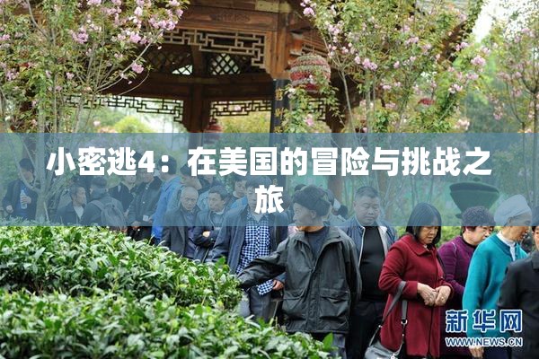 小密逃4：在美国的冒险与挑战之旅