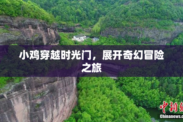 小鸡穿越时光门，展开奇幻冒险之旅