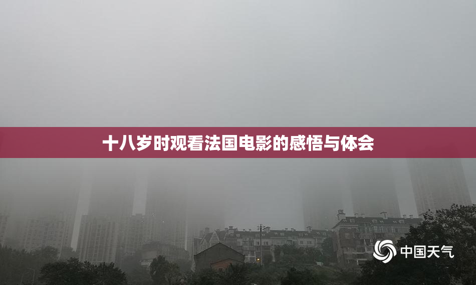 十八岁时观看法国电影的感悟与体会