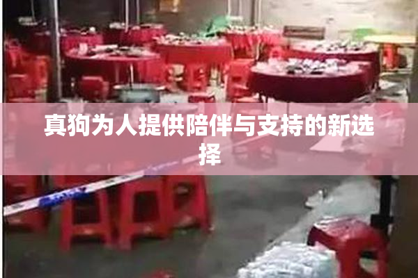 真狗为人提供陪伴与支持的新选择