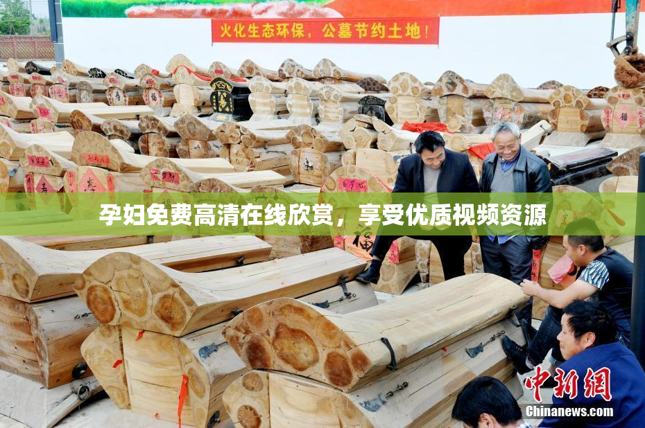 孕妇免费高清在线欣赏，享受优质视频资源