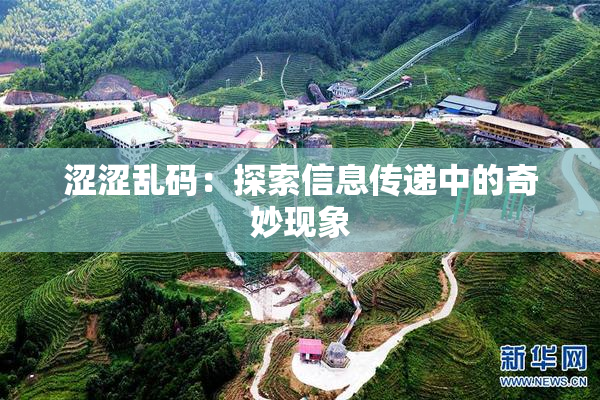 涩涩乱码：探索信息传递中的奇妙现象