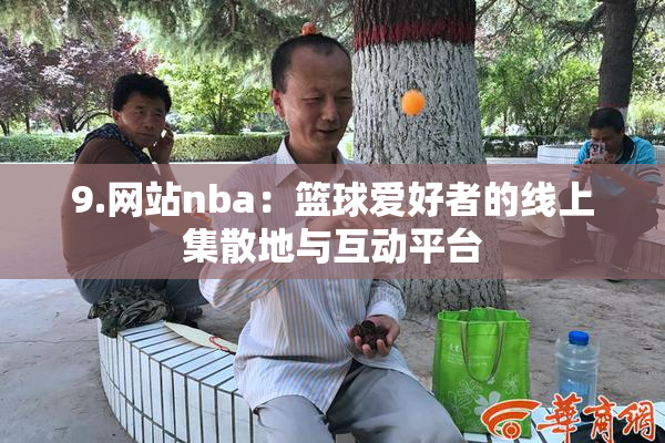 9.网站nba：篮球爱好者的线上集散地与互动平台