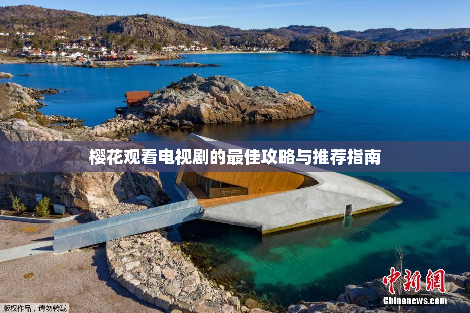 樱花观看电视剧的最佳攻略与推荐指南
