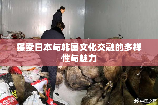 探索日本与韩国文化交融的多样性与魅力