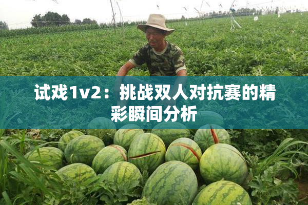 试戏1v2：挑战双人对抗赛的精彩瞬间分析