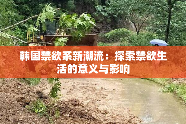 韩国禁欲系新潮流：探索禁欲生活的意义与影响