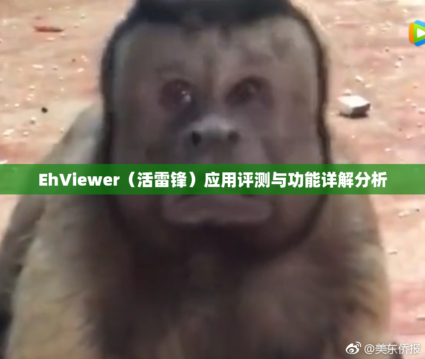 EhViewer（活雷锋）应用评测与功能详解分析