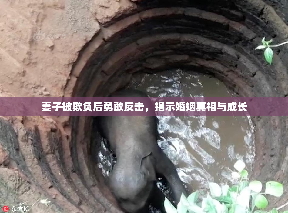 妻子被欺负后勇敢反击，揭示婚姻真相与成长