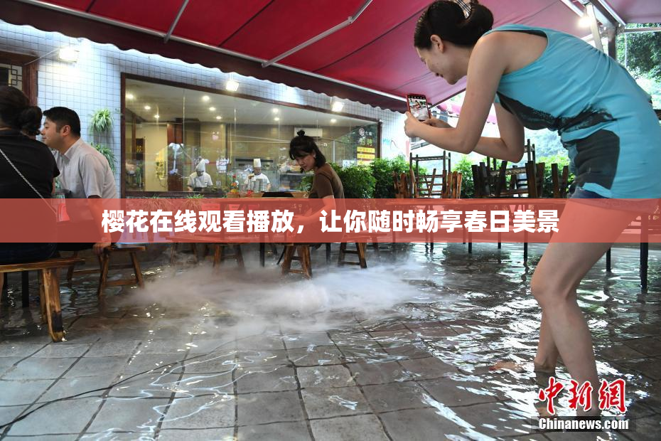 樱花在线观看播放，让你随时畅享春日美景