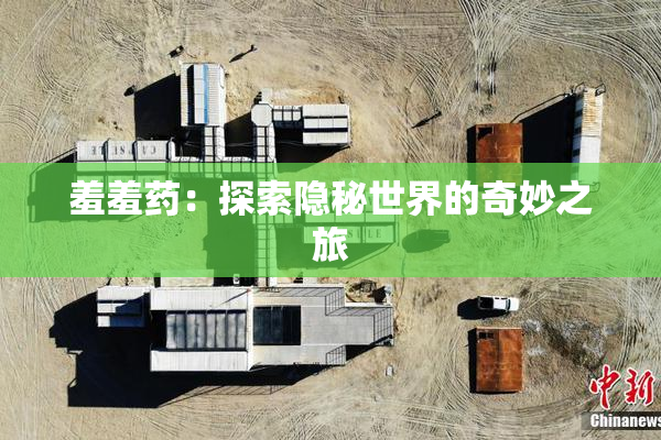 羞羞药：探索隐秘世界的奇妙之旅