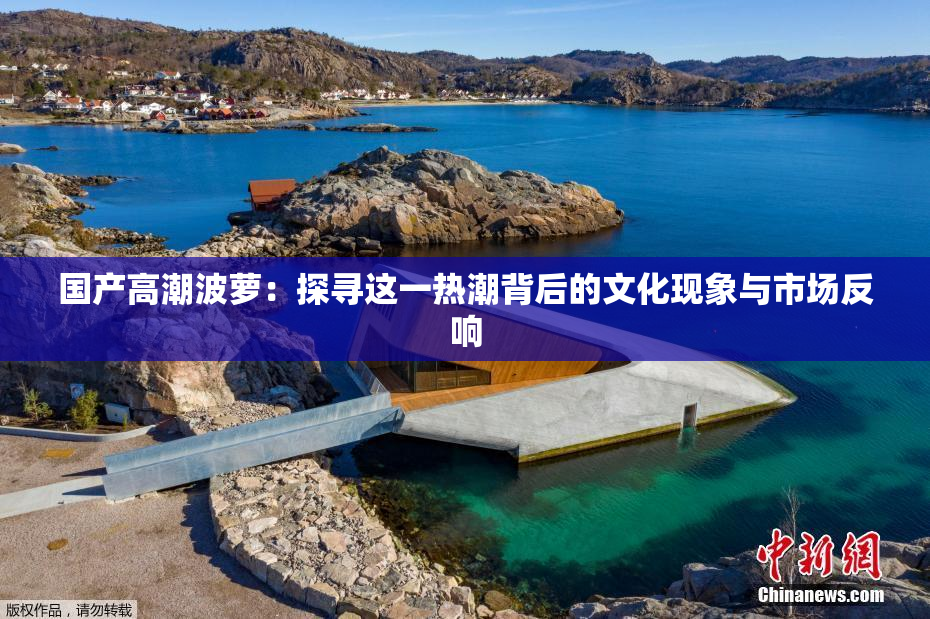 国产高潮波萝：探寻这一热潮背后的文化现象与市场反响
