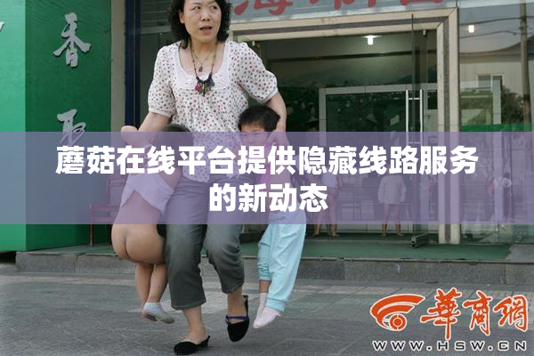 蘑菇在线平台提供隐藏线路服务的新动态