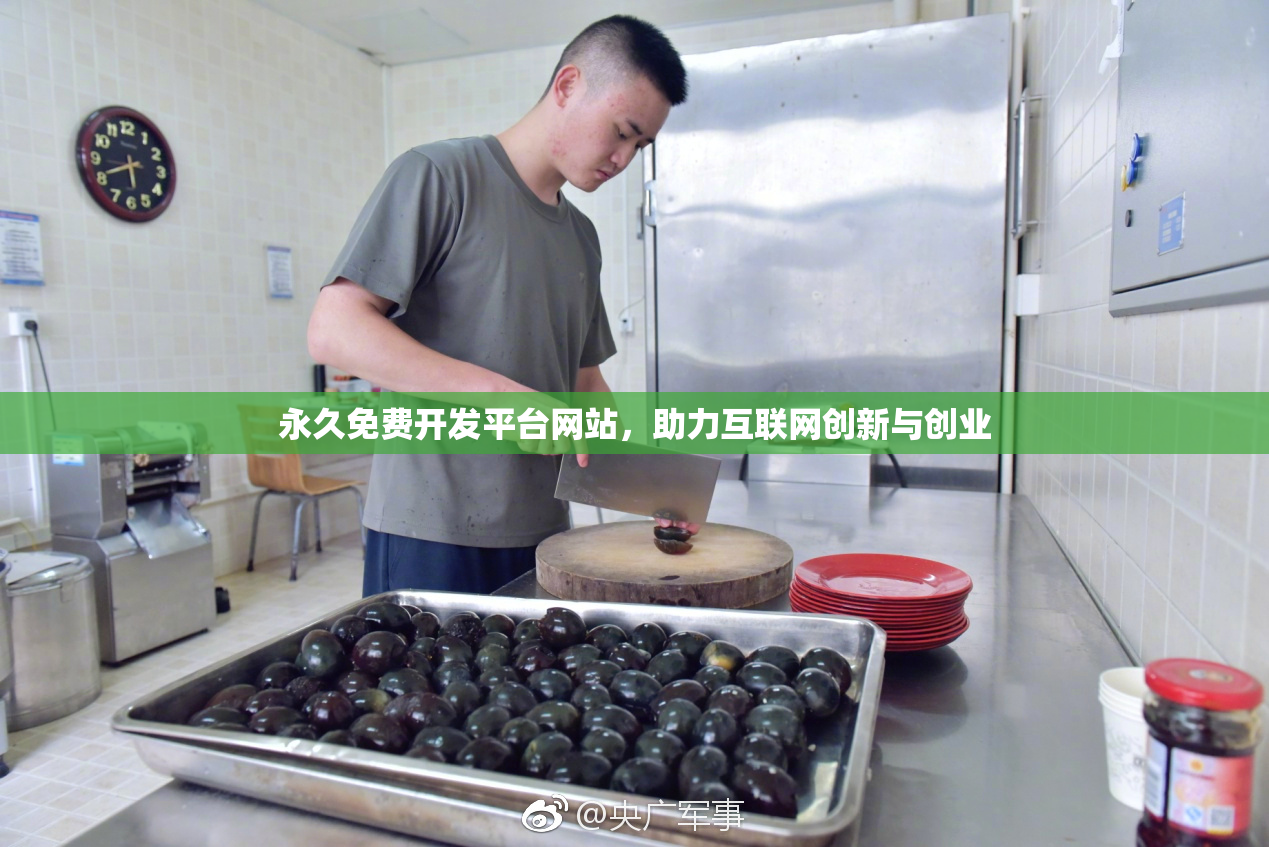 永久免费开发平台网站，助力互联网创新与创业