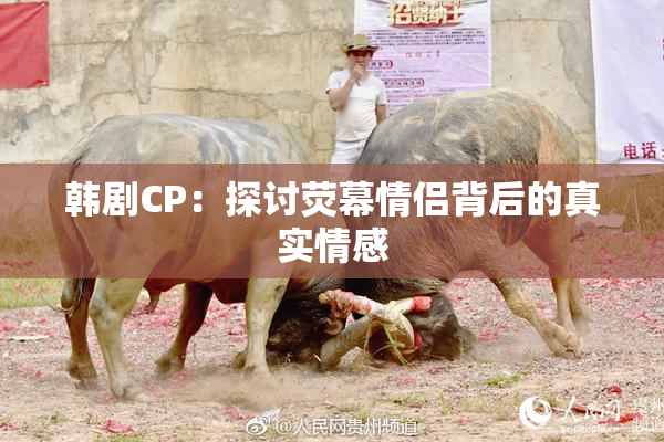 韩剧CP：探讨荧幕情侣背后的真实情感