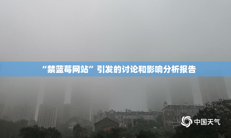“禁蓝莓网站”引发的讨论和影响分析报告