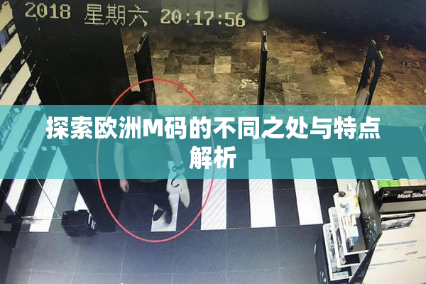 探索欧洲M码的不同之处与特点解析