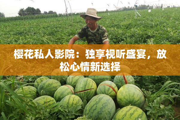 樱花私人影院：独享视听盛宴，放松心情新选择
