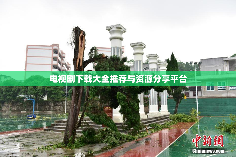 电视剧下载大全推荐与资源分享平台