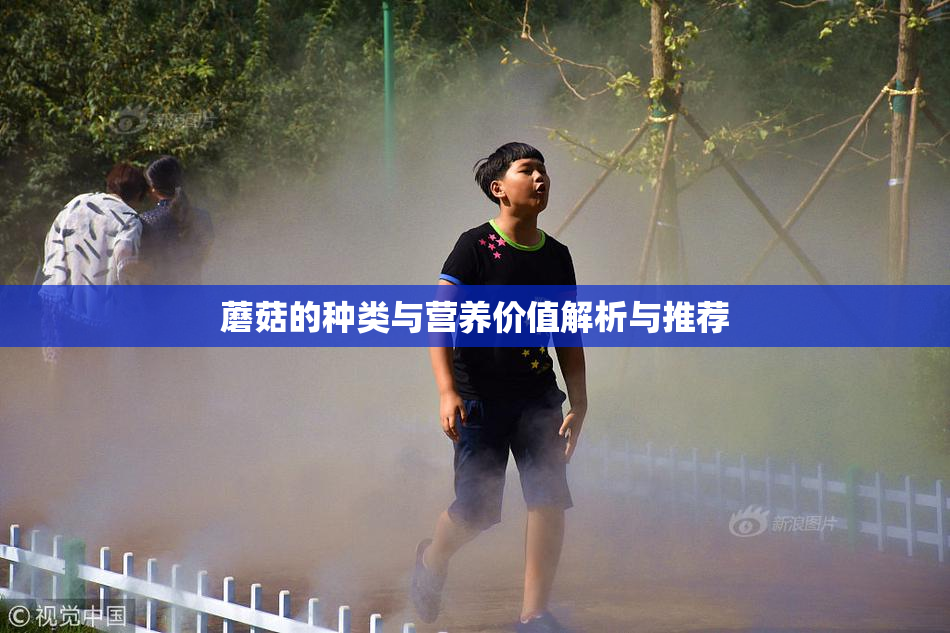 蘑菇的种类与营养价值解析与推荐
