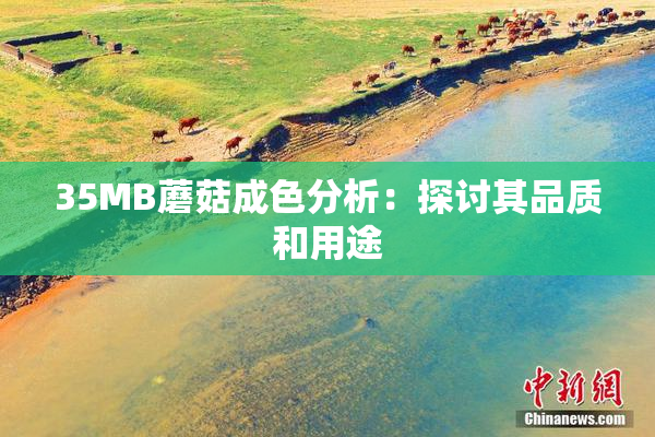 35MB蘑菇成色分析：探讨其品质和用途