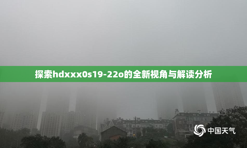 探索hdxxx0s19-22o的全新视角与解读分析