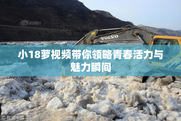 小18萝视频带你领略青春活力与魅力瞬间