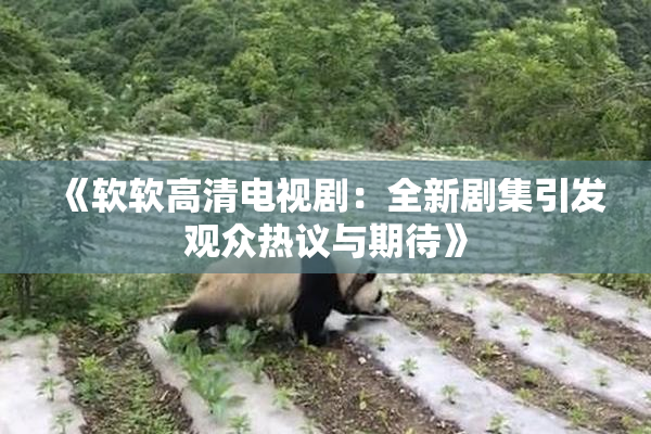 《软软高清电视剧：全新剧集引发观众热议与期待》