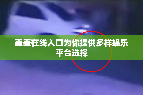 羞羞在线入口为你提供多样娱乐平台选择