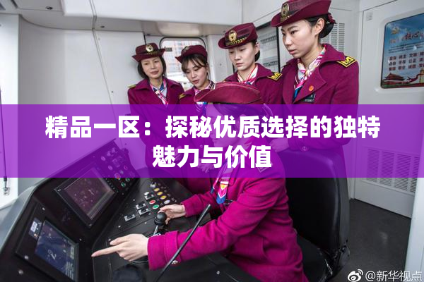 精品一区：探秘优质选择的独特魅力与价值