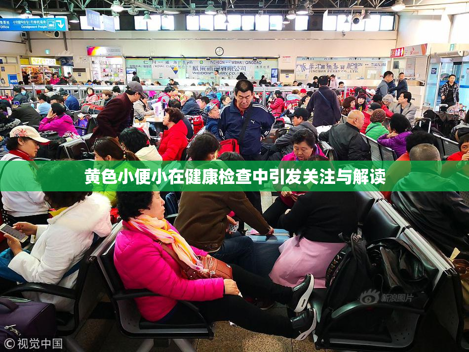 黄色小便小在健康检查中引发关注与解读