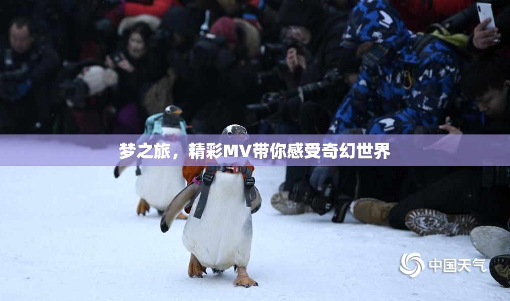 梦之旅，精彩MV带你感受奇幻世界