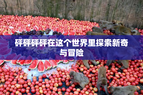 砰砰砰砰在这个世界里探索新奇与冒险