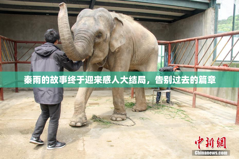 秦雨的故事终于迎来感人大结局，告别过去的篇章