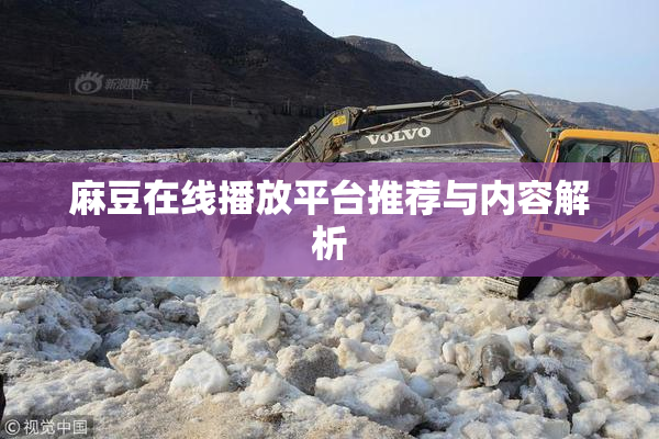 麻豆在线播放平台推荐与内容解析