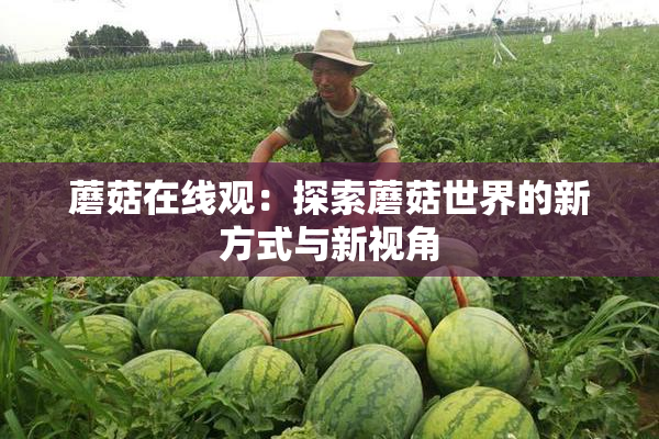蘑菇在线观：探索蘑菇世界的新方式与新视角