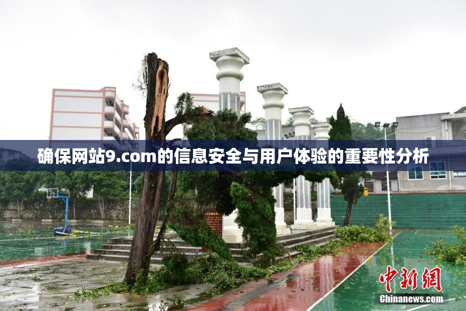 确保网站9.com的信息安全与用户体验的重要性分析
