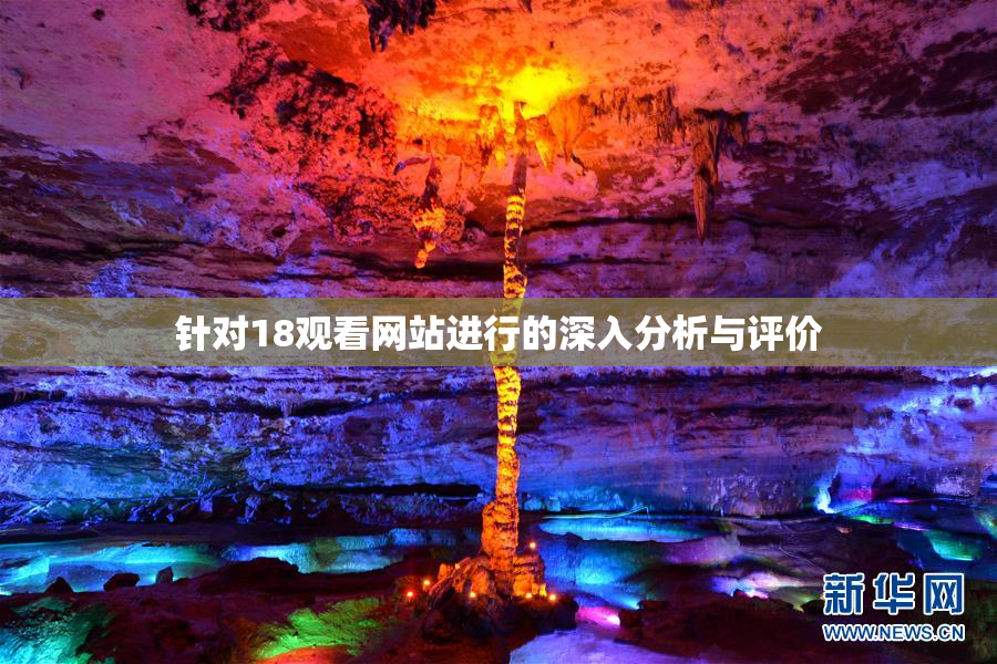针对18观看网站进行的深入分析与评价