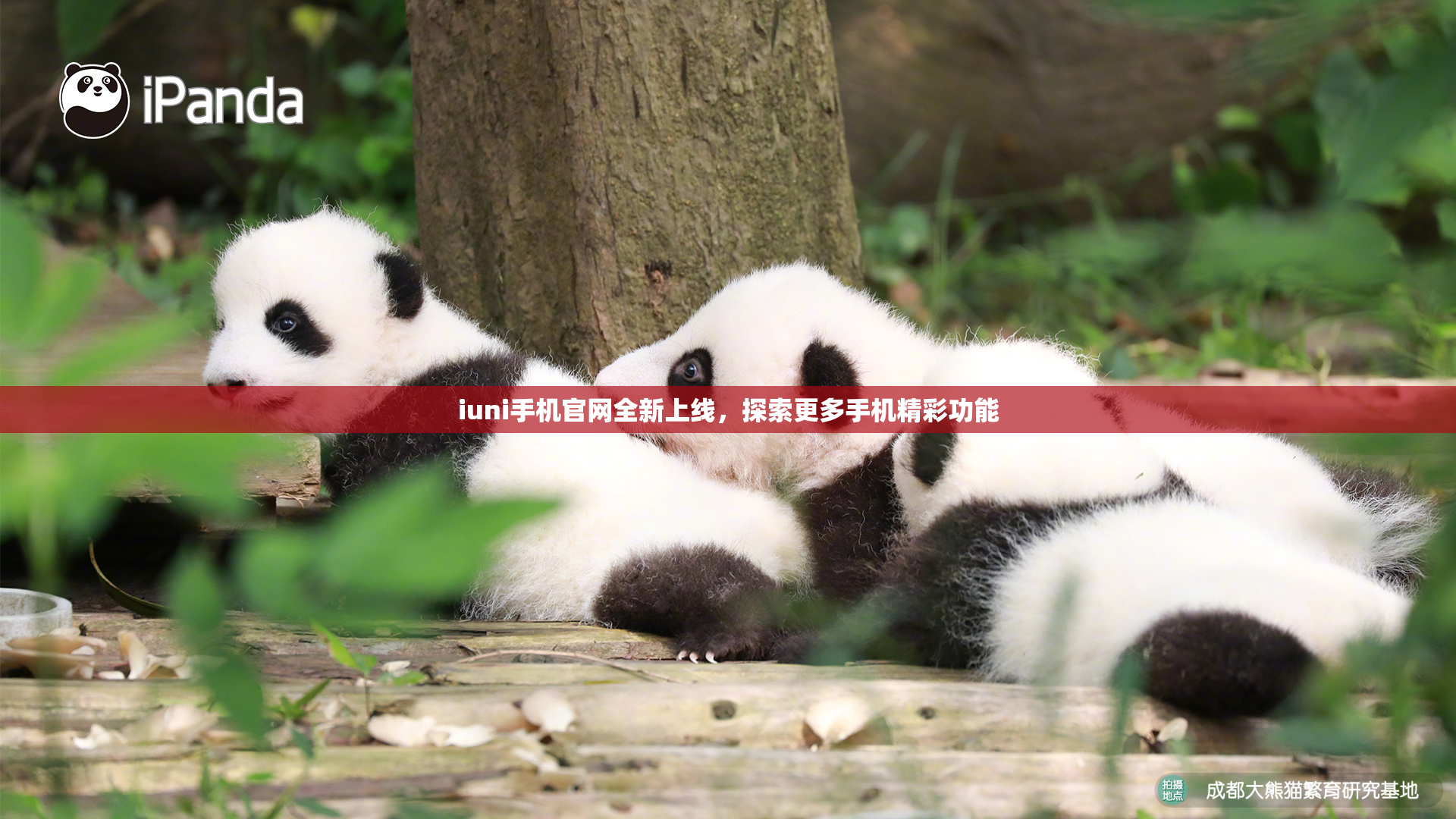 iuni手机官网全新上线，探索更多手机精彩功能